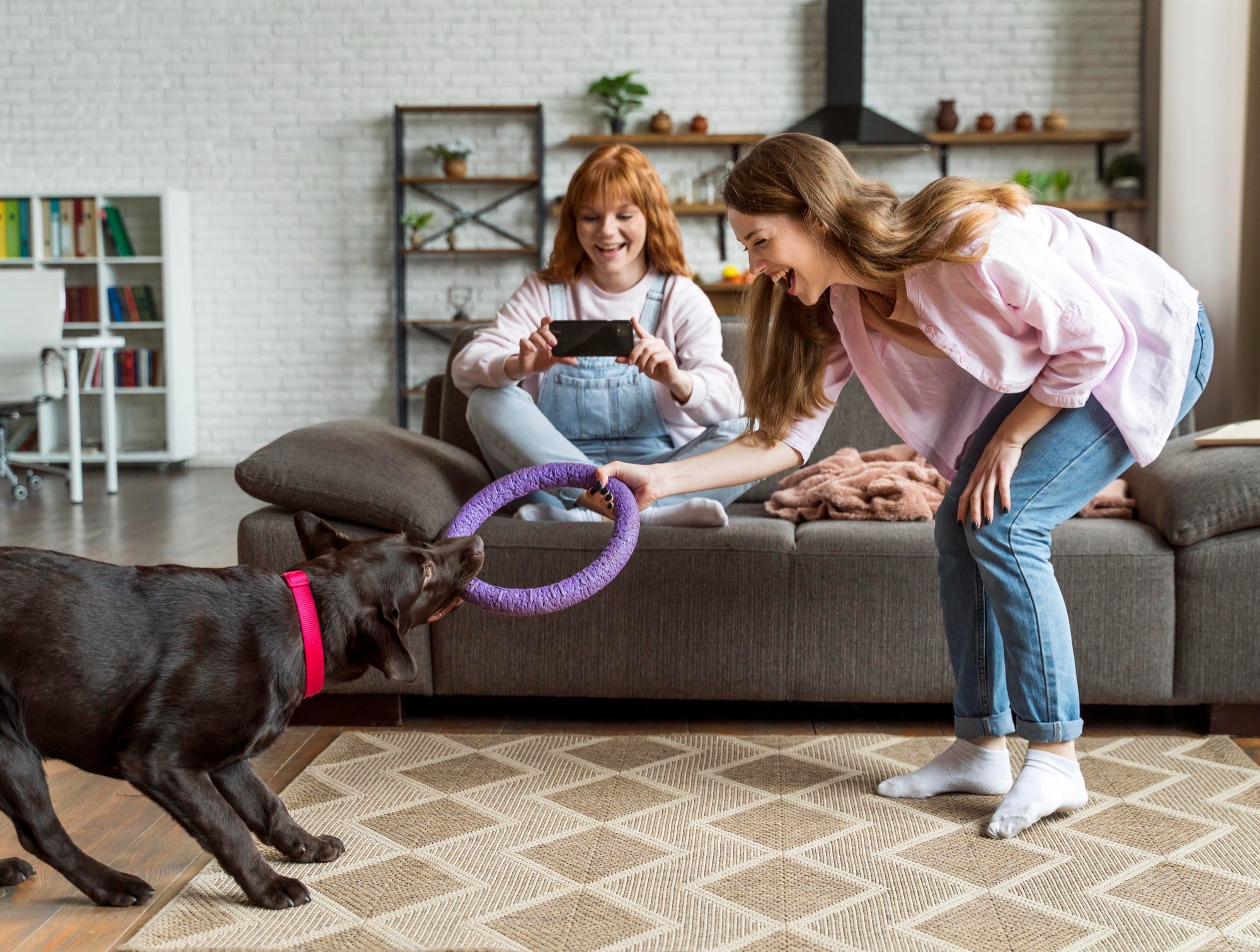 Playtime Matters: Toys and Accessories for Happy Pets
