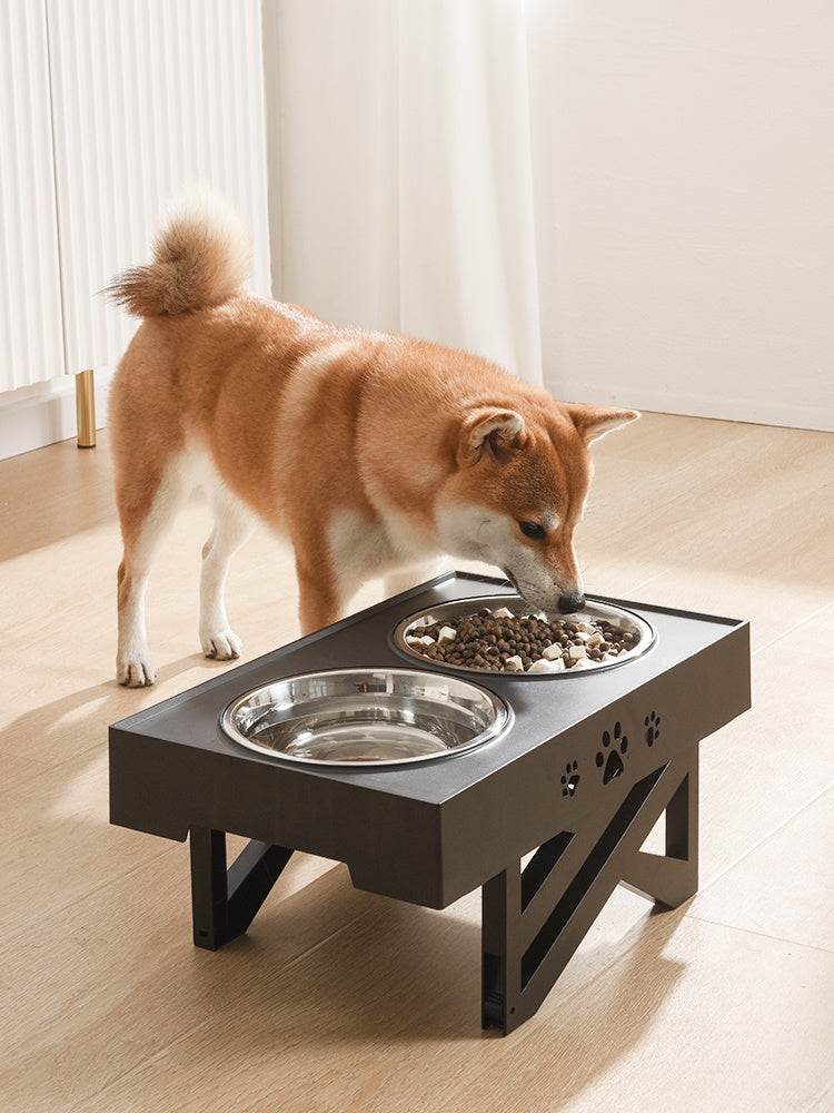 Dog eating from elevated black pet bowl dog feeder with stainless steel bowls on wooden floor