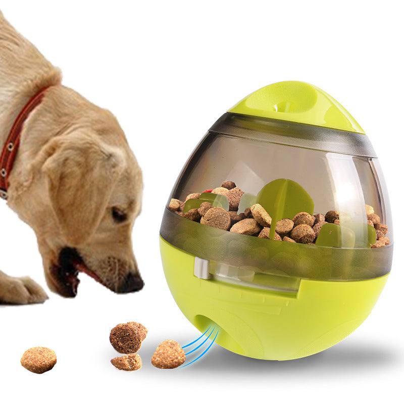 Interactive Food Feeder